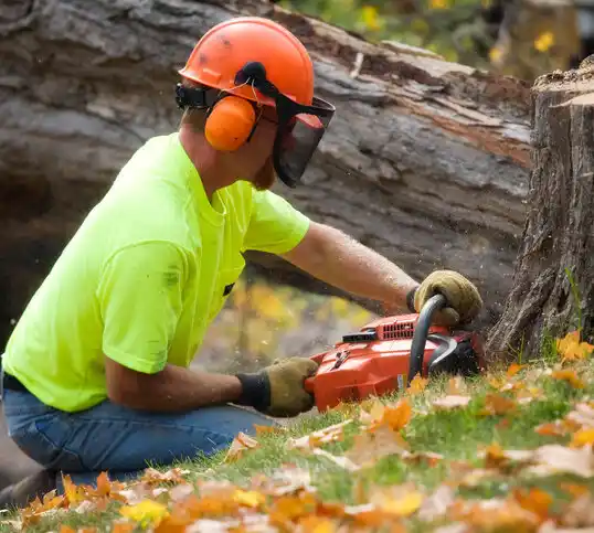 tree services Whites Landing